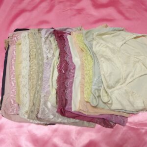 111☆婦人ツルツルショーツ☆20枚セット☆☆大人USEDインナー SELECT INNER MARKET　