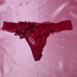 400 ワコール サルート Salute Tバックショーツ 中古 大人用インナー 濃ピンク/ボルドー 大輪バラ刺繍 限定1点 販売