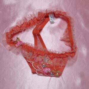 535☆ レジェ Mサイズ ☆ティーンズ Tバック ☆大人USEDインナー SELECT INNER MARKET