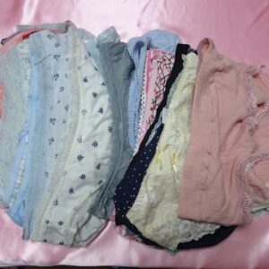 545☆婦人コットンショーツ☆30枚セット☆☆大人USEDインナー SELECT INNER MARKET